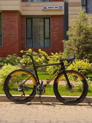 S-WORKS SL8 RTP