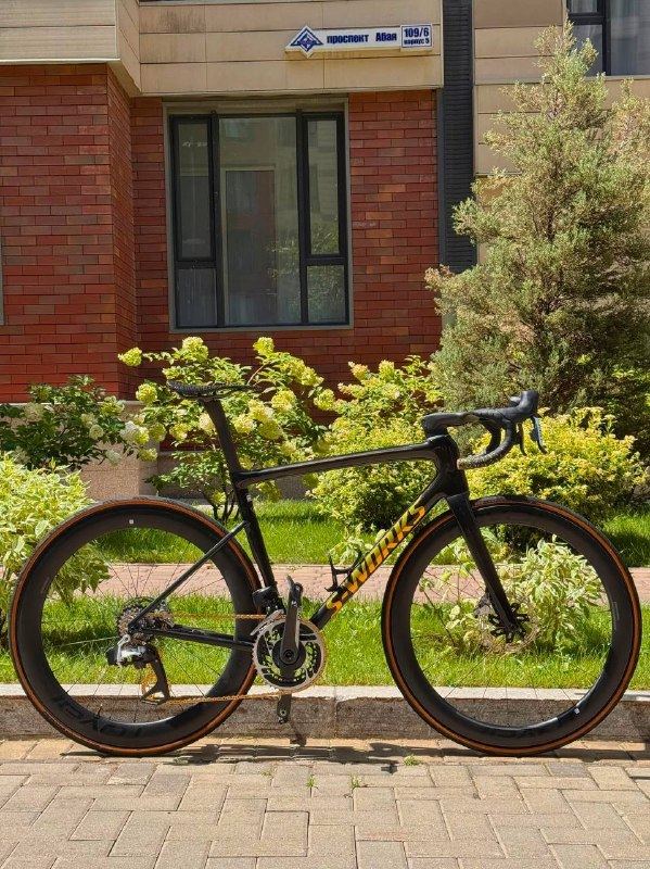 S-WORKS SL8 RTP