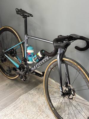 WILLER TRIESTINA