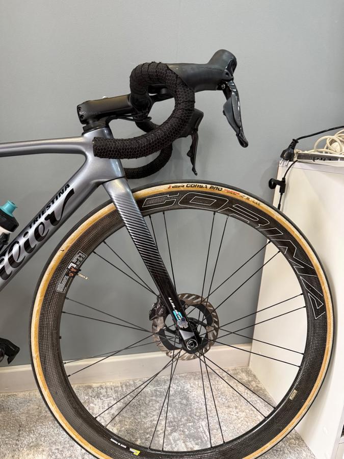 WILLER TRIESTINA