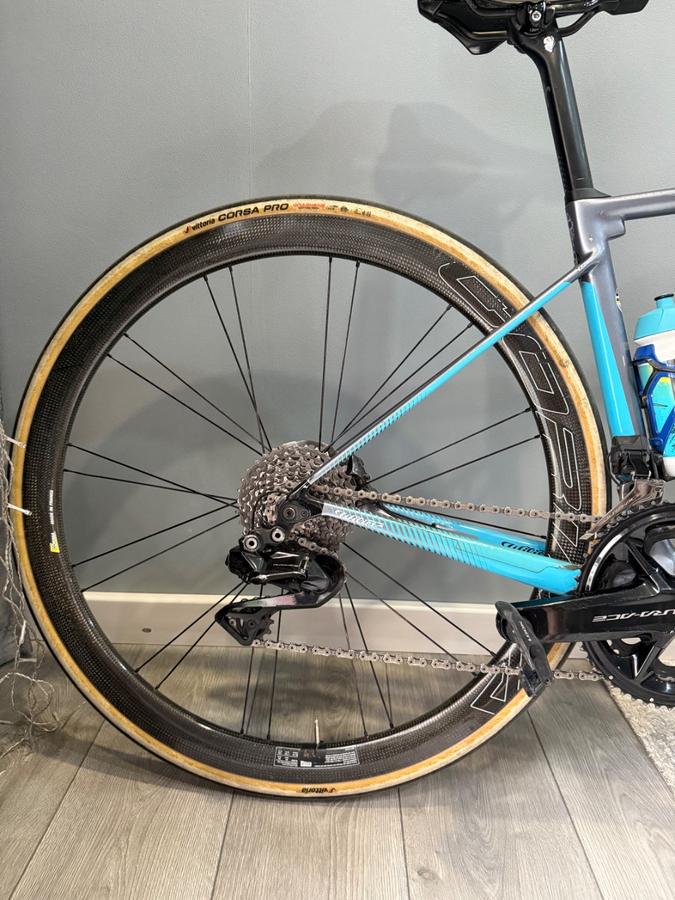 WILLER TRIESTINA