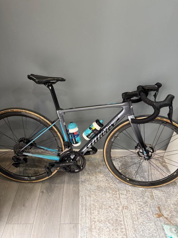 WILLER TRIESTINA