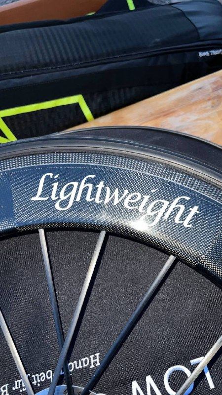 LIGHTWEIGHT FERNWEG DISC