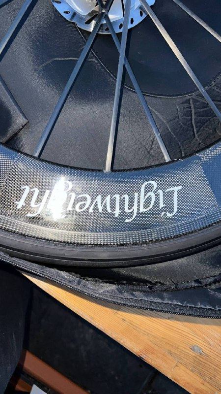 LIGHTWEIGHT FERNWEG DISC