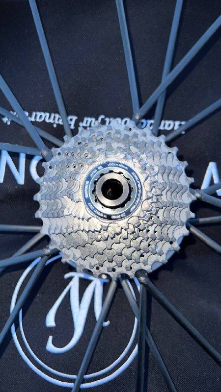LIGHTWEIGHT FERNWEG DISC