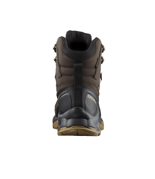 Salomon ботинки мужские Quest Element GTX