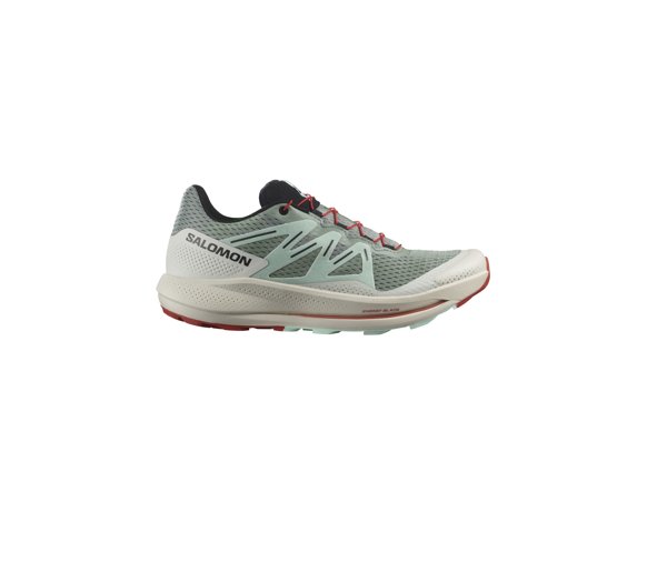 Salomon кроссовки мужские Pulsar trail