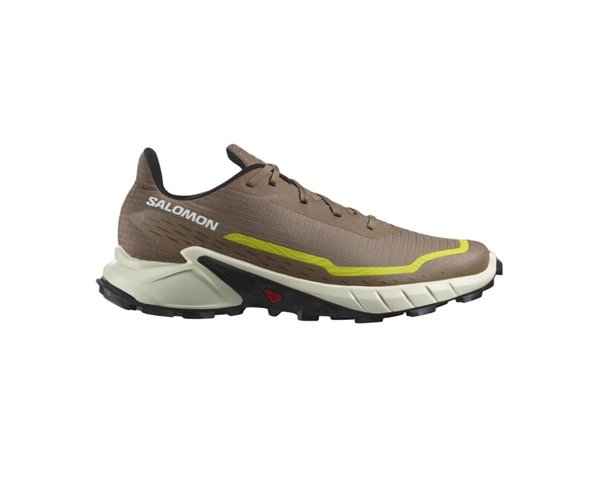 Salomon кроссовки мужские Alphacross 5