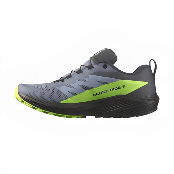 Salomon кроссовки мужские SENSE RIDE 5 GTX