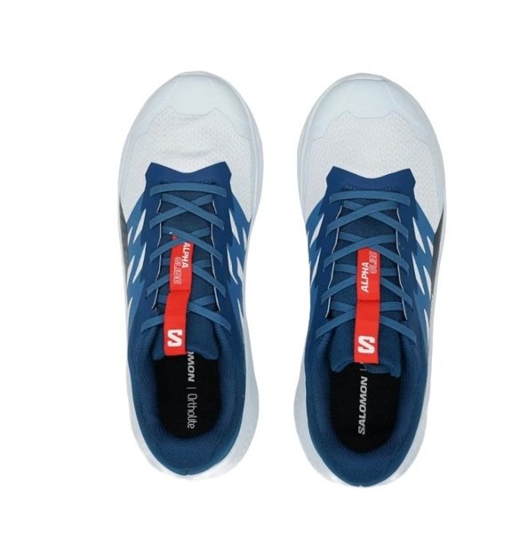 Salomon кроссовки мужские Alphaglide