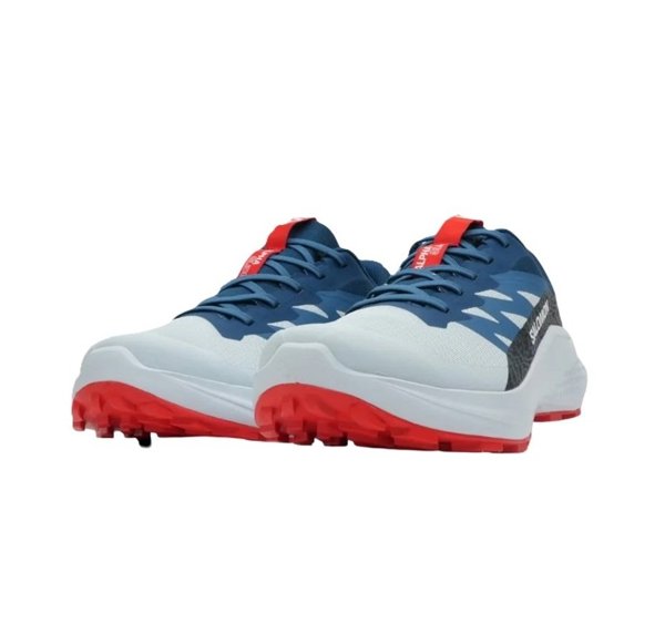 Salomon кроссовки мужские Alphaglide