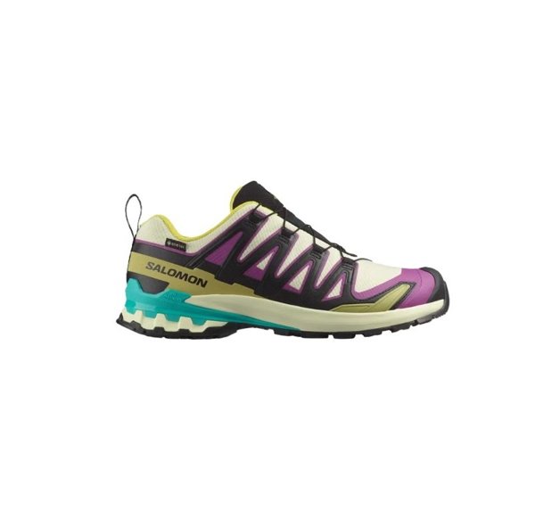 Salomon кроссовки мужские Xa Pro 3D V9 GTX