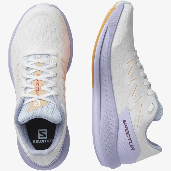 Salomon кроссовки женские Spectur