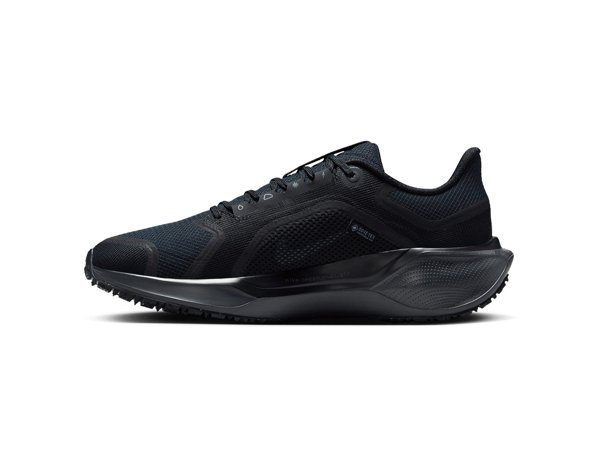 NIKE кроссовки женские AIR ZM PEGASUS 41 GTX